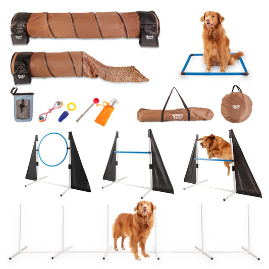 Agility Training Equipment for Dogs